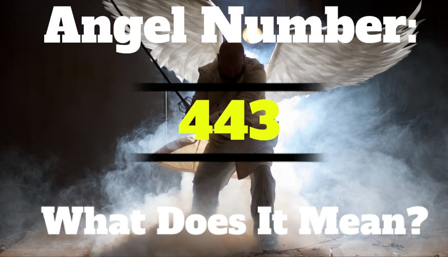 443 Angel Number Meaning