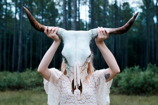 Bull Skull Tattoo Meaning & Symbolism