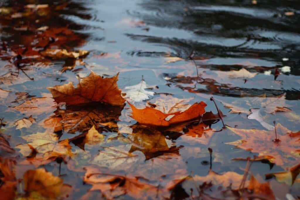 Rain Symbolism & Spiritual Meaning