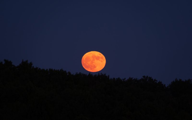 Orange Moon Dream Meaning