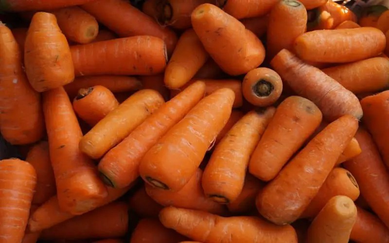 Carrot Symbolism