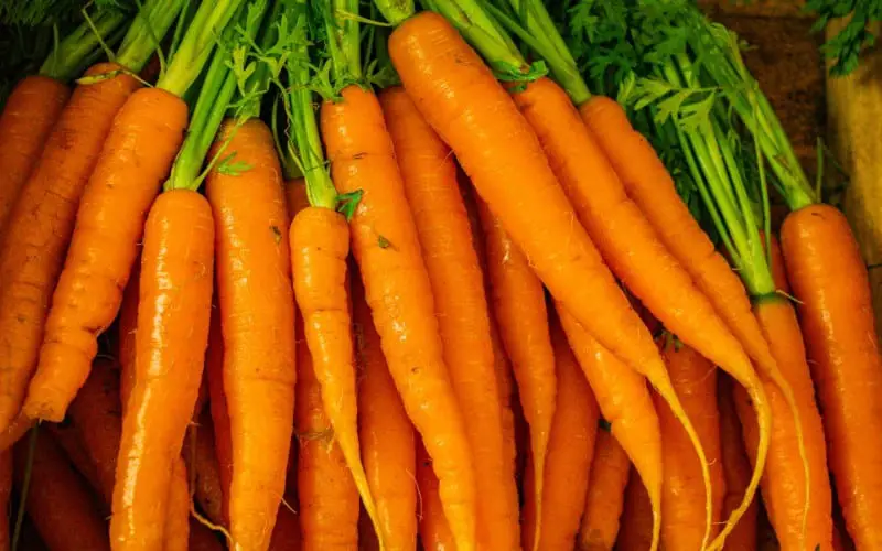 Carrot Symbolism